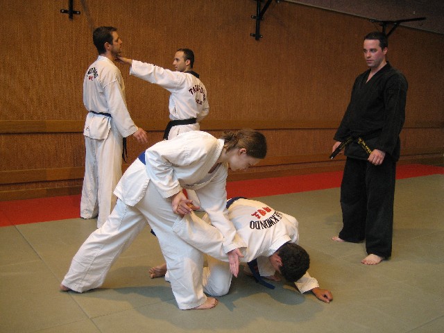Stage d'Hapkido organisé par le club de Taekwondo de Sarreguemines