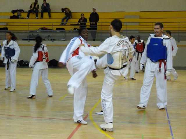 Le club de Taekwondo de Sarreguemines: Stage combat avec Gwladys EPANGUE