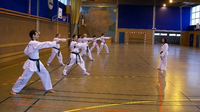Le club de Taekwondo de Sarreguemines: Stage Technique avec Elise Becker