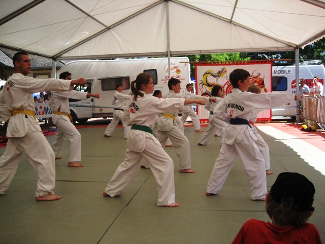Le club de Taekwondo de Sarreguemines: La fête du sport