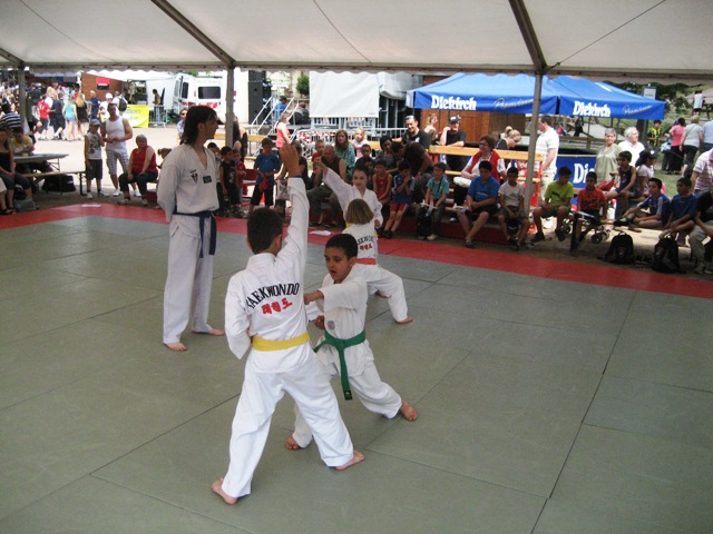 Le club de Taekwondo de Sarreguemines - Lorraine: La fête du sport du 4 juin 2011