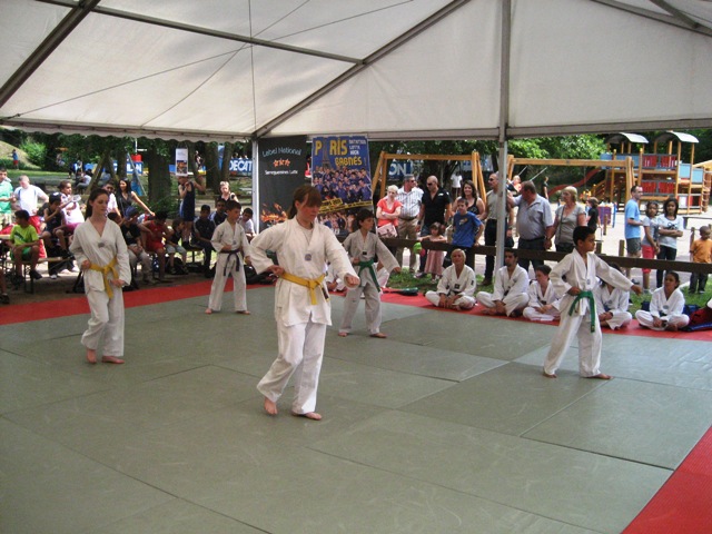 Le club de Taekwondo de Sarreguemines - Lorraine: La fête du sport du 4 juin 2011