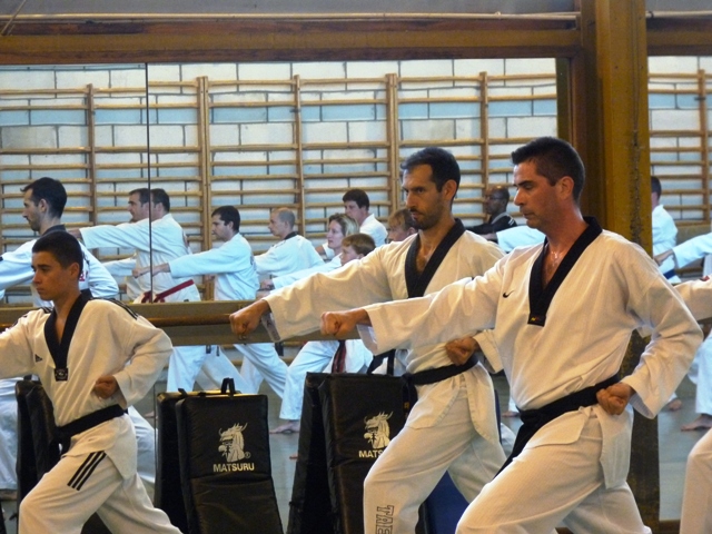 Le club de Taekwondo de Sarreguemines - Lorraine: Le séminaire des Arts Coréens