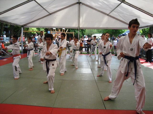 Le club de Taekwondo de Sarreguemines - Lorraine: La fête du sport à Sarreguemines 
