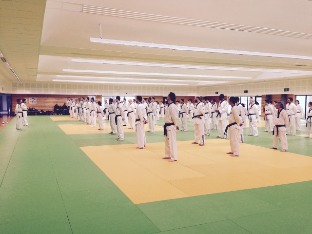 Le club de Taekwondo de Sarreguemines - Lorraine:   Stage des experts.