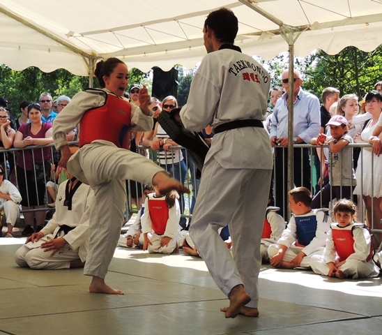 Le club de Taekwondo de Sarreguemines - Lorraine: La fête du sport à Sarreguemines.