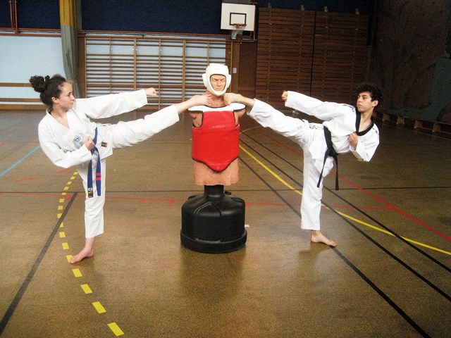 Le club de Taekwondo de Sarreguemines - Lorraine:  Les pratiques.