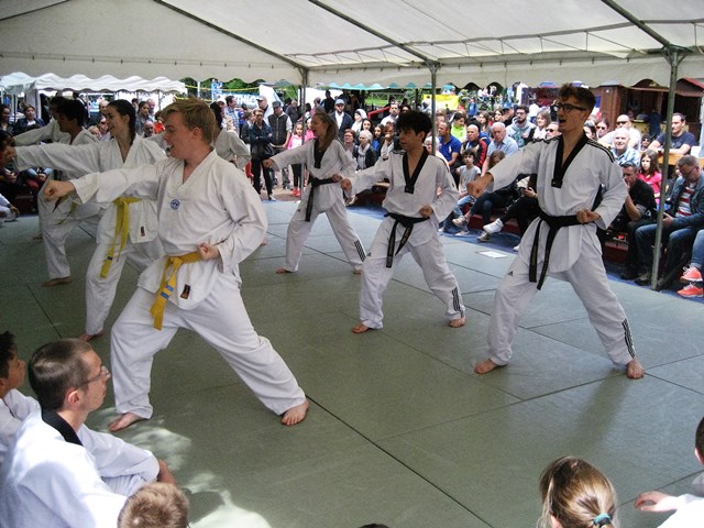 Le club de Taekwondo de Sarreguemines - Lorraine: Fête du Sport à Sarreguemines