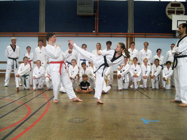 Le club de Taekwondo de Sarreguemines - Lorraine: L'entrainement