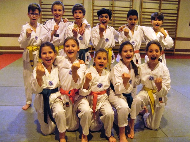 Le club de Taekwondo de Sarreguemines - Lorraine: L'entraînement technique, la salle