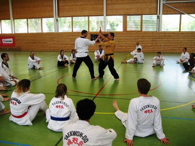 Le club de Taekwondo de Sarreguemines - Lorraine: Stage technique à Strasbourg