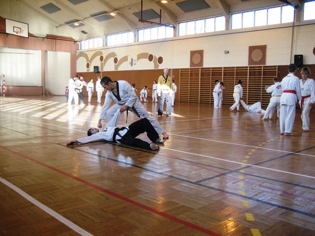 Le club de Taekwondo de Sarreguemines - Lorraine: Stage technique à Valmont