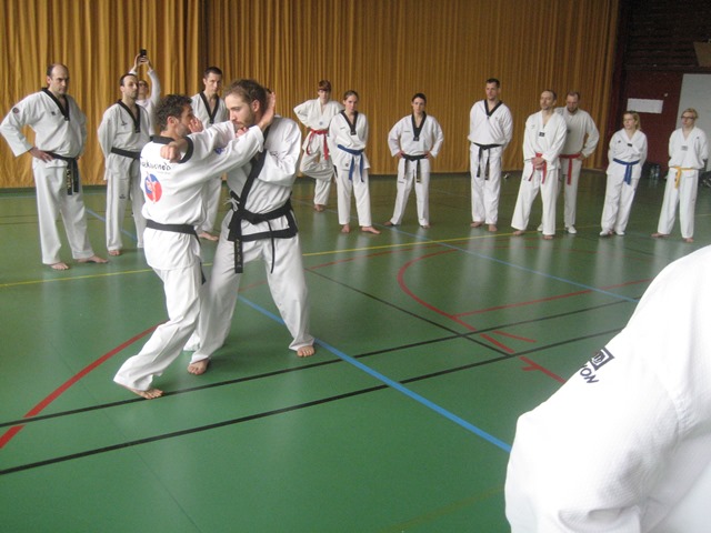 Le club de Taekwondo de Sarreguemines - Lorraine: Stage Technique-Hapkido-Tai Chi à Strasbourg
