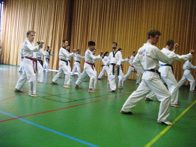 Le club de Taekwondo de Sarreguemines - Lorraine: Stage Technique-Hapkido-Tai Chi à Strasbourg