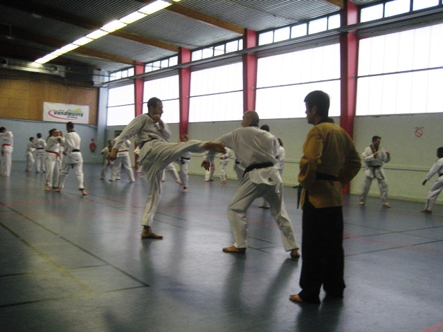 Le club de Taekwondo de Sarreguemines - Lorraine: Stage Technique à Vandoeuvre Les Nancy