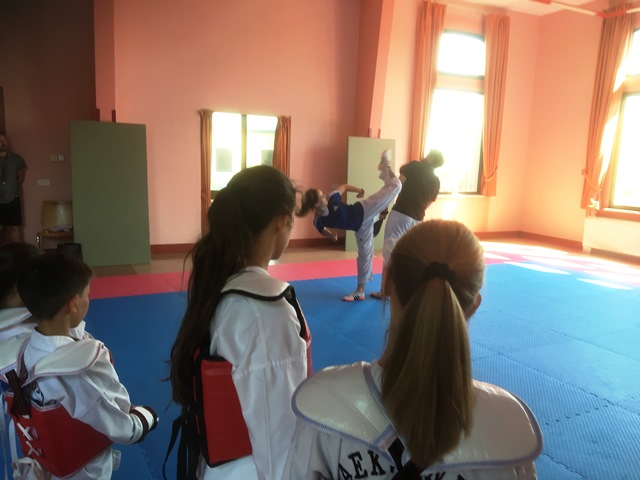 Le club de Taekwondo de Sarreguemines - Lorraine: Stage Taekwondo Enfant avec Clara Mallien