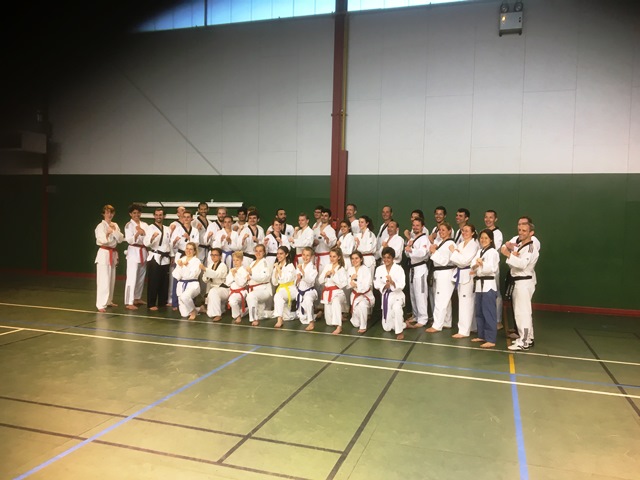 Le club de Taekwondo de Sarreguemines - Lorraine: Stage technique à Seichamps